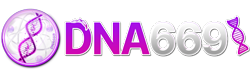 dna669 ศูนย์รวมความบันเทิงระดับพรีเมียม
